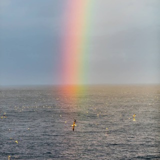 Логотип @recoveryhymns - ГИМНЫ/ HYMNS