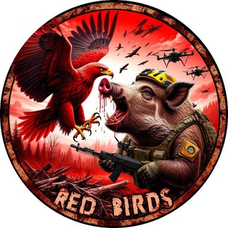 Логотип @red_birds_z - Красные птицы 18+ ( Red Birds)