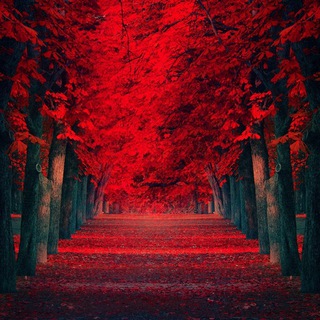 Логотип @red_channel_1 - ♦️Red Channel♦️