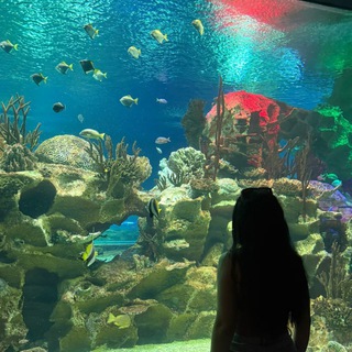 Логотип @reeep_nastiaa - день изо дня