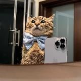 Логотип @referenciasdelospapus - referenciasdelospapus