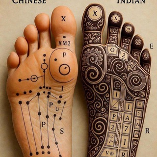 Логотип @reflexalia - Reflexalia: Reflexología Podal