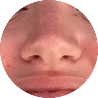 Логотип @regina_fe - Будни Стриптизерши