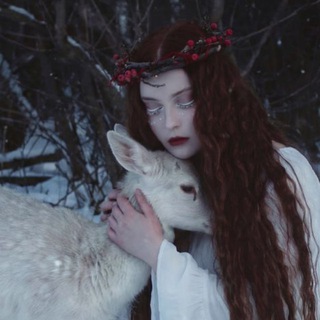 Логотип @reindeerph - ReindeerPh 📷