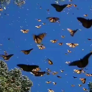 Логотип @relax_world_2 - 🌱Beautiful World🌱