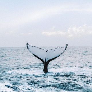 Логотип @relaxaqua - Вода. ЭСТЕТИКА