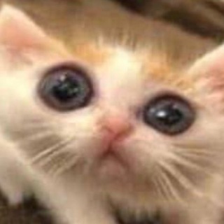 Логотип @relaxpictes - Релакс пикчес