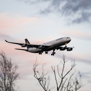 Логотип @relocation_vacancies - Вакансии с релокацией | релокация, relocation, relocate