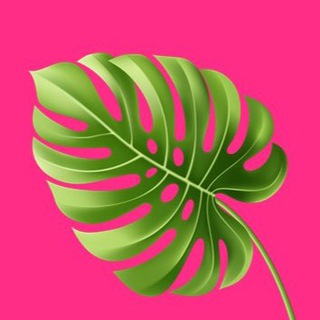 Логотип @relocationmother - Релокация в декрете | Турция