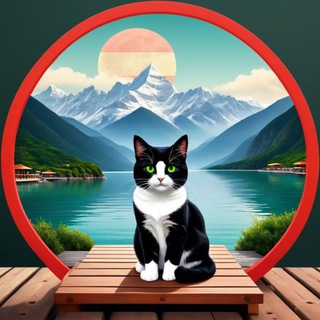 Логотип @reloview - ReloView | Австрия | Европа