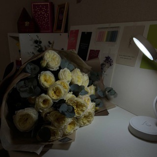 Логотип @remi_nders - reminders.