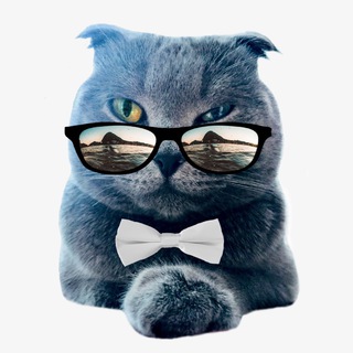 Логотип @remote_and_abroad - С.O. The World | Удалёнка + зарубежные вакансии👩‍💻👨‍💻