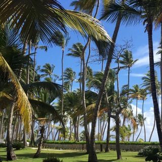 Логотип @remoteit - Remote IT (Inflow)