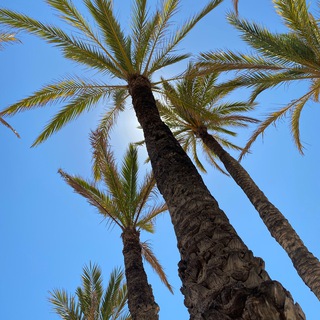 Логотип @renta_spain - АРЕНДА 🇪🇸 БЕНИДОРМ, САН ХУАН, АЛИКАНТЕ 🏝️