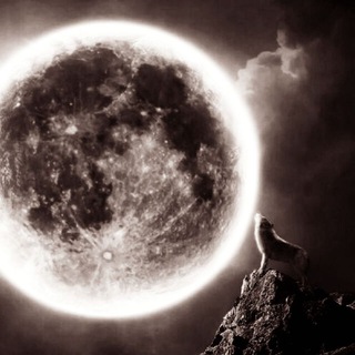 Логотип @reowc - BloodMoon Era Wuffclub (Nebengruppe)