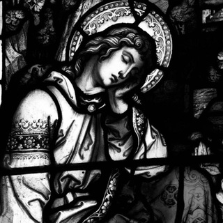 Логотип @repa_levaka - REPA LEVAKA🎫