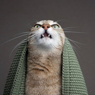 Логотип @repeater13 - REPEATER