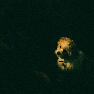 Логотип @replaceyou - replaceyou🌱