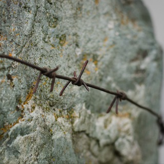 Логотип @repressiisverdlovsk - Репрессии в Свердловске