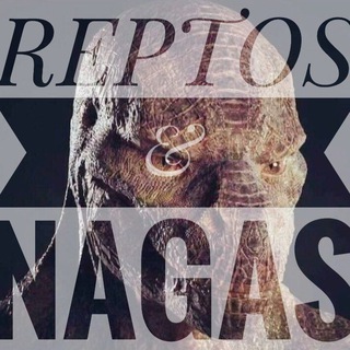 Логотип @reptosnagas - Reptos und Nagas / Reptilians, Aliens, UFOs, Klone, Adrenochrome