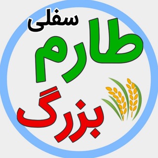 Логотип @resanetarom - 🌾 گروه طارم بزرگ 🌾