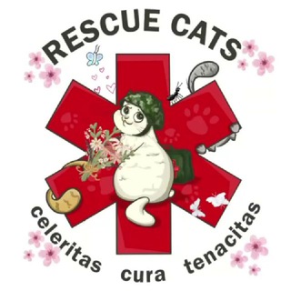 Логотип @rescue_cats_channel - RESCUE CATS