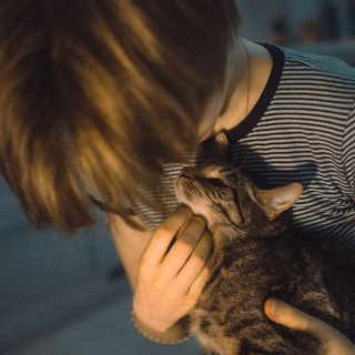 Логотип @rescue_with_love - Министерство Кошачьих Дел