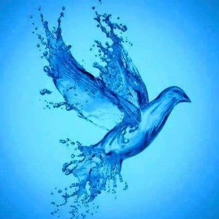 Логотип @resistancedelaplandemie - Résistance. L'essentiel de l'information.