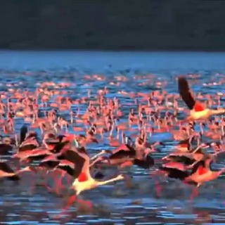 Логотип @resistanceetliberte - 🔴 RÉSISTANCE ET LIBERTÉ 🔴