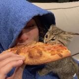 Фоны для видео