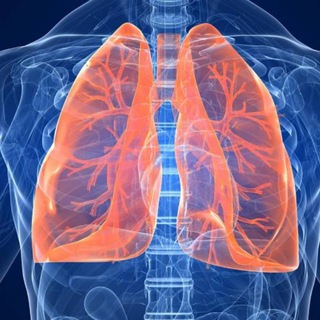 Логотип @respiratory_videos - Respiratory step 2 videos 2026