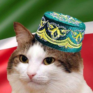 Логотип @resptatar - Республикасы