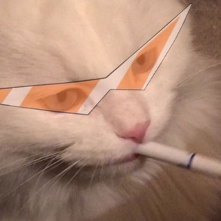 Логотип @rest4mex - DVD RIP