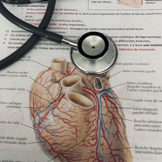 Логотип @resume1medicalyear - Medical students 🩺🧑‍⚕️👩‍⚕️