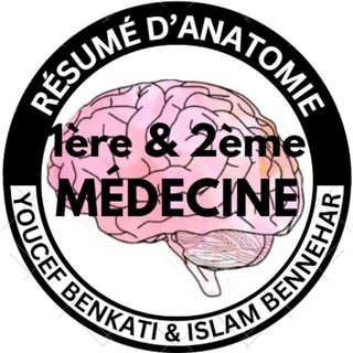 Логотип @resume_youcef_et_islam - ✨Youcef & Islam's résumés✨