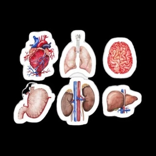 Логотип @resumecardio - Sources & Résumés (2→3ème année) promo 2022 Oran