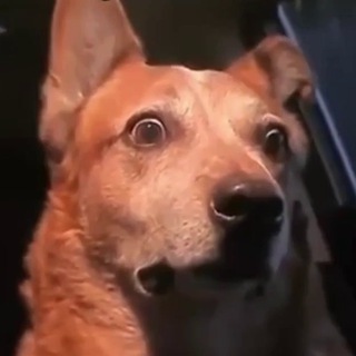 Логотип @retards_tiktok - Retards_TikTok