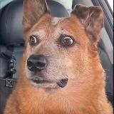 Логотип @retardsoftiktok - 𝐑𝐞𝐭𝐚𝐫𝐝𝐬 𝐨𝐟 𝐓𝐢𝐤𝐓𝐨𝐤