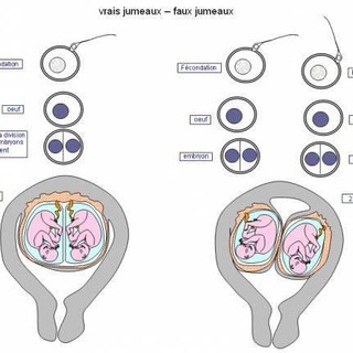 Логотип @reussirnosetudes - Baccalauréat et Bepc 😊