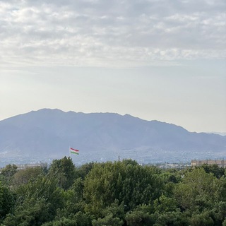 Логотип @revelingesports - 🇹🇯