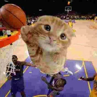 Логотип @reviewbiz - Serious memes