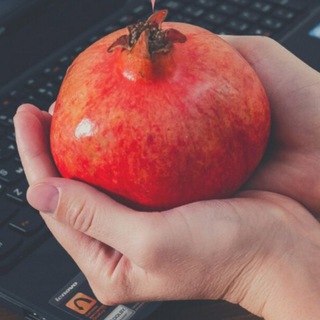 Логотип @rezepti_dietologa - РЕЦЕПТЫ ДИЕТОЛОГА