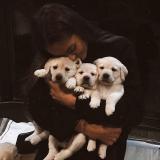 Логотип @rezerv_ot_blogerov - Переходник @rezerv_ot_blogerov