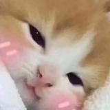 Логотип @rezervsorryforsliv - Перенаправление на канал