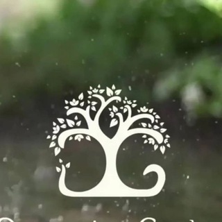 Логотип @reznik_katerina_decgarden - Катерина Резник._чат_комментарии Декоративный сад.