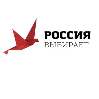 Логотип @rf_choice - Россия выбирает