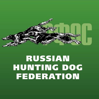 Логотип @rfos2022 - РФОС / RHDF