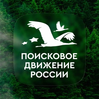 Логотип @rfpoisk - Поисковое движение России 🇷🇺