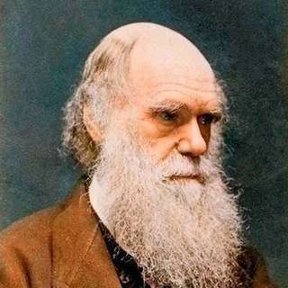 Логотип @rfu_2013 - Российский Кормовой Союз