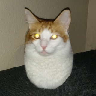 Логотип @rher_gneg - гнег